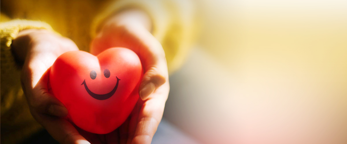 Z6���������й����ٷ���վ